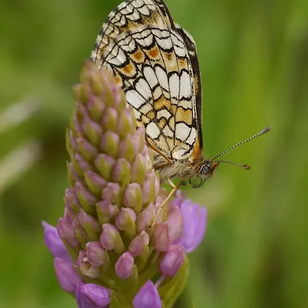 Du Château Classé Du Tourisme 2 étoiles *
