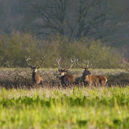 Du Château Classé Du Tourisme 2 étoiles Appartamento