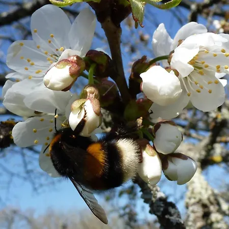 Appartamento Du Château Classé Du Tourisme 2 étoiles
