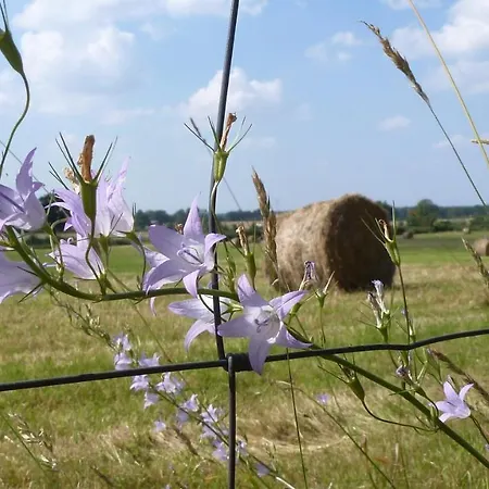 Du Château Classé Du Tourisme 2 étoiles