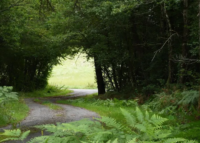 Du Chateau L'hubertiere * Bouresse